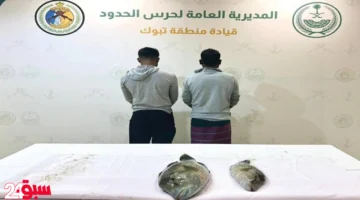 تبوك.. ضبط مقيمين خالفوا لائحة السلامة البحرية وهذه تفاصيل المخالفة الكاملة